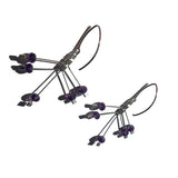 Fire Hook Earrings