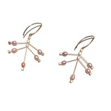 Fire Hook Earrings